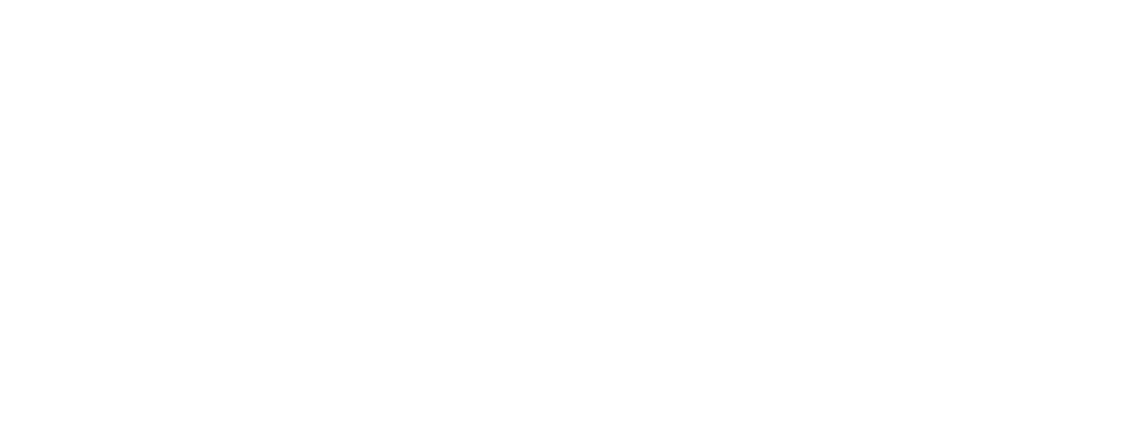 Fleet Experience